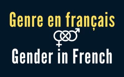 Le genre en français, gender in French