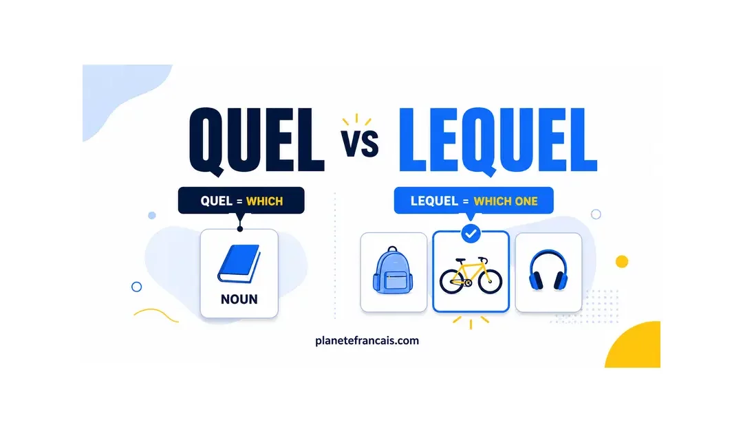 Quel vs Lequel in French: How to Choose the Right One