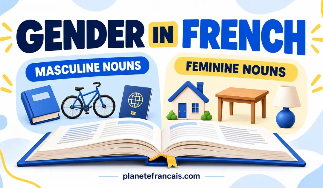 Gender in French: How to Know if a Noun Is Masculine or Feminine