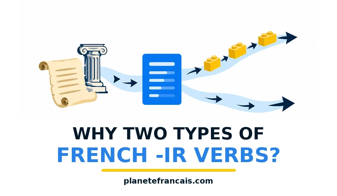 Why Do French -IR Verbs Follow Two Different Patterns?